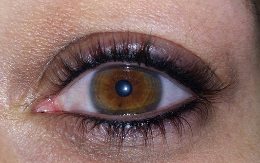 Healed eyeliner tattoo using Aqua Black Magic pigment by Will Anthony – rich, deep black result for lash enhancement.