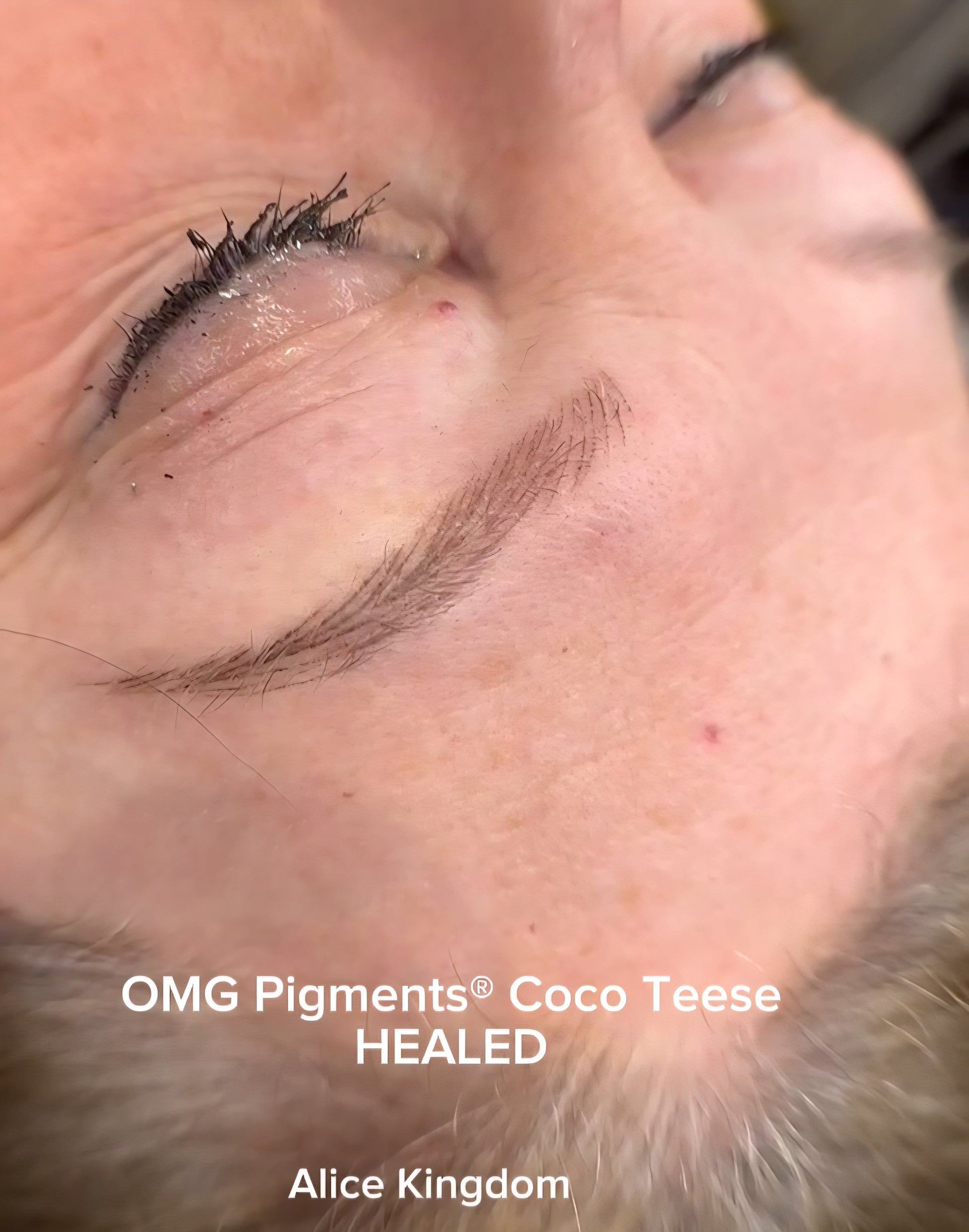 Healed soft neutral brown eyebrow using OMG Coco Teese PMU pigment, showing natural retention and gentle shading.