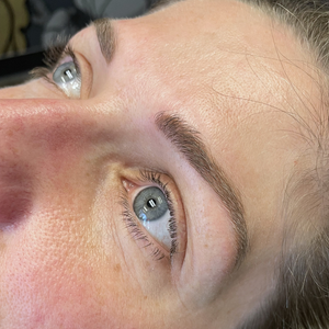 Healed powder brows created with OMG® Blondeshsell by Teryn Darling using Li Pigments PMU line — natural, soft-toned permanent makeup brow results with smooth color retention.