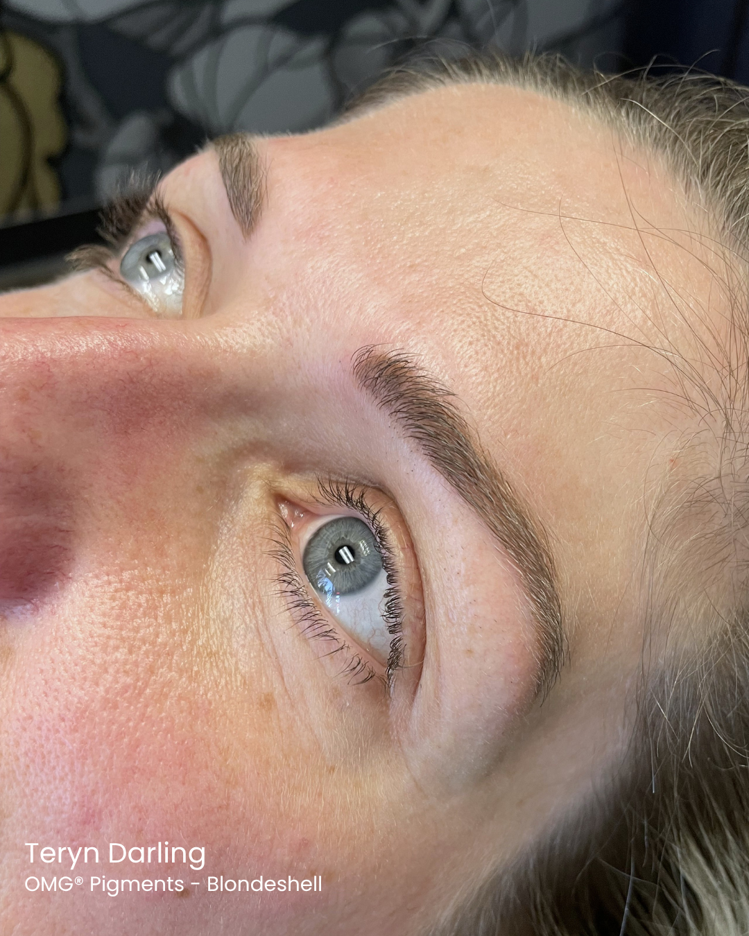Healed powder brows created with OMG® Blondeshsell by Teryn Darling using Li Pigments PMU line — natural, soft-toned permanent makeup brow results with smooth color retention.