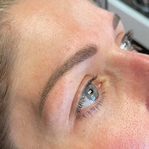 Close-up of healed powder brows using OMG® Blondeshsell by Teryn Darling — soft, natural permanent makeup brow results created with Li Pigments PMU pigments.