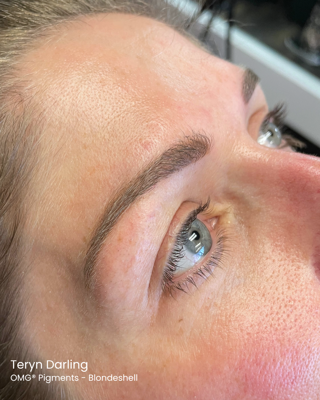 Close-up of healed powder brows using OMG® Blondeshsell by Teryn Darling — soft, natural permanent makeup brow results created with Li Pigments PMU pigments.