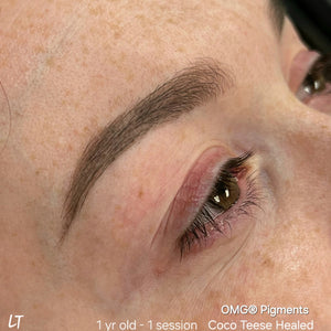 Healed brows after one year using OMG® Coco Teese pigment by Teryn Darling — soft, natural color retention and smooth healed results from the Li Pigments OMG® PMU line.