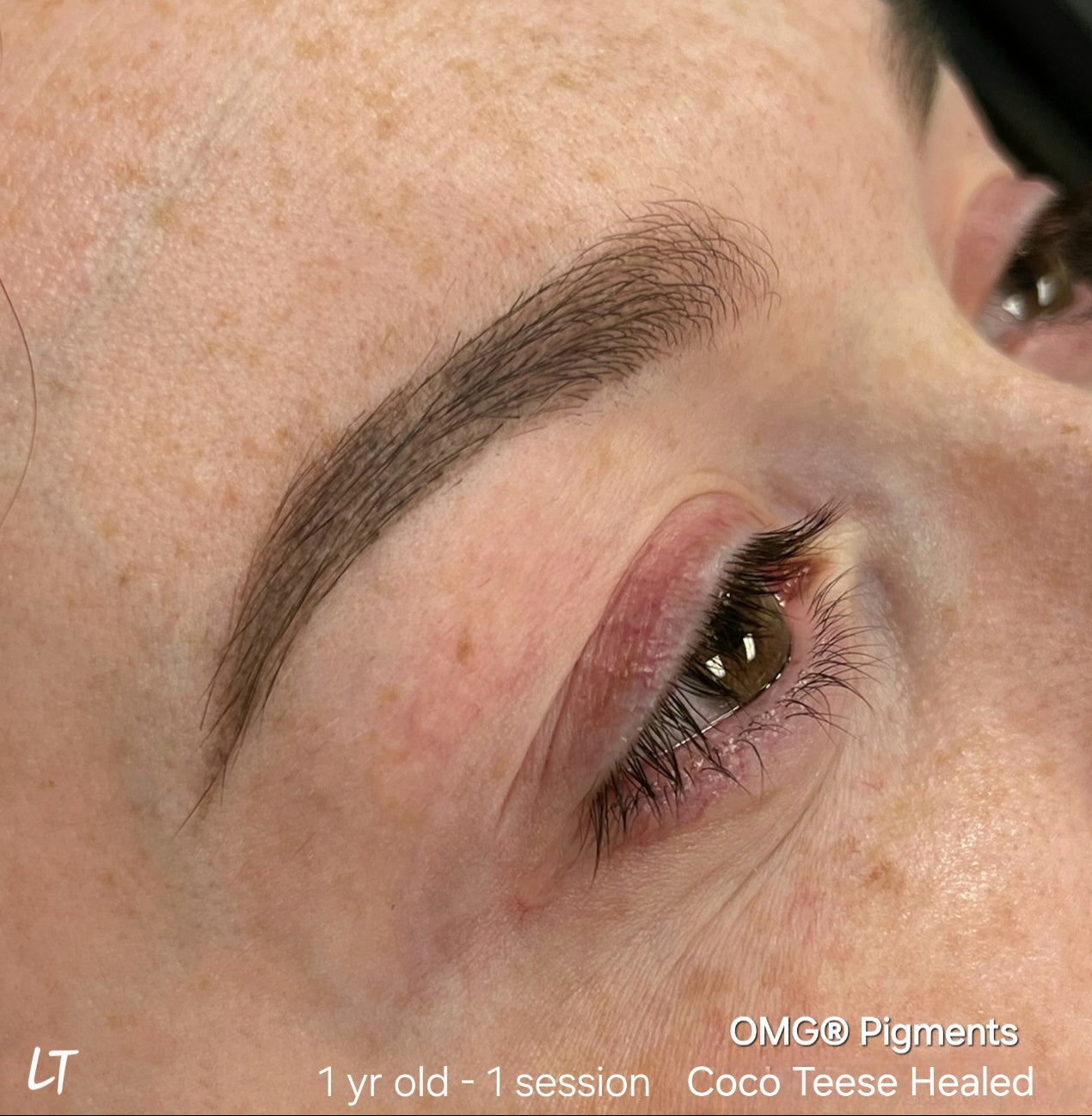 Healed brows after one year using OMG® Coco Teese pigment by Teryn Darling — soft, natural color retention and smooth healed results from the Li Pigments OMG® PMU line.