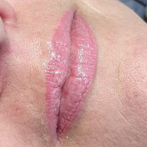 Healed lip blushing results using Li Pigments Forever Lips Pink Blossom, showing soft natural pink lips fully healed at 6 months after permanent makeup treatment.