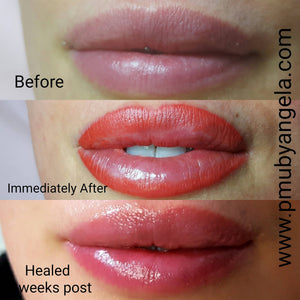 Healed lip blush results using Pink Coral Pop lip pigment, showing a glossy soft pink finish with enhanced lip shape, smooth saturation, and natural definition on multiple lip angles by PMU by Angela