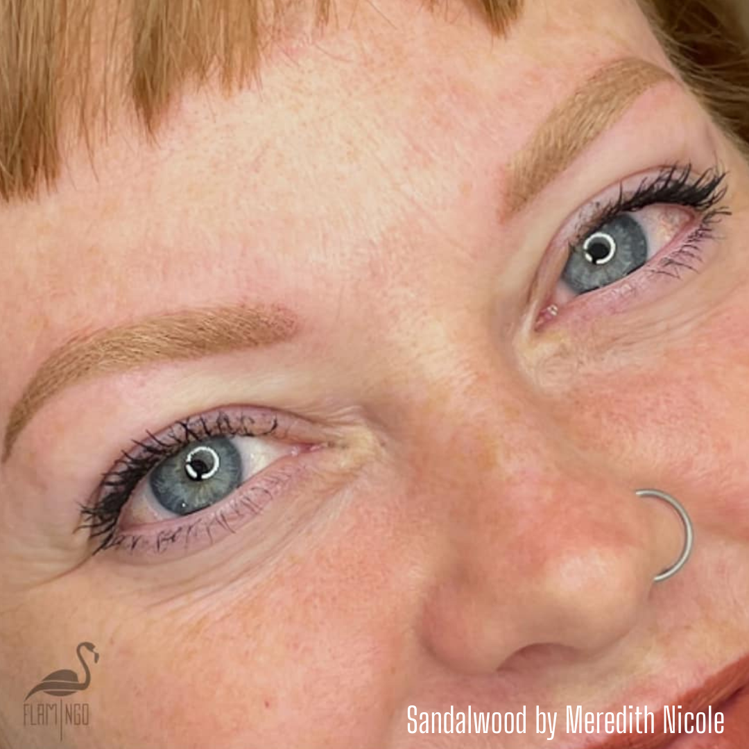 Close-up of healed blonde eyebrows created with Sandalwood from the Li Pigments Aqua collection by Meredith Nicole. The pigment gives a soft golden-brown tone perfect for clients with fair or warm skin tones seeking natural-looking permanent makeup brows.