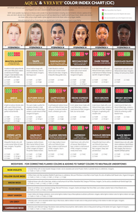 Li Pigments - Aqua & Velvet Color Index Chart (CIC)