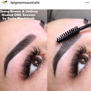 Healed brow results from one session using Aqua Ebony Brown and UnGray by Suzie MacIntosh.