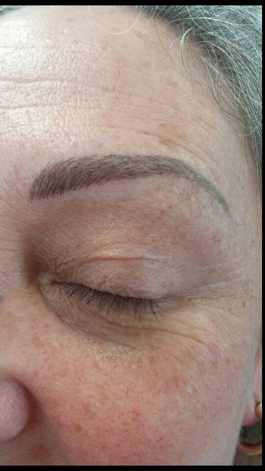 Close-up healed permanent makeup brows created with Aqua Ekimo Gray pigment – ideal for mature or cool-toned clients seeking soft definition