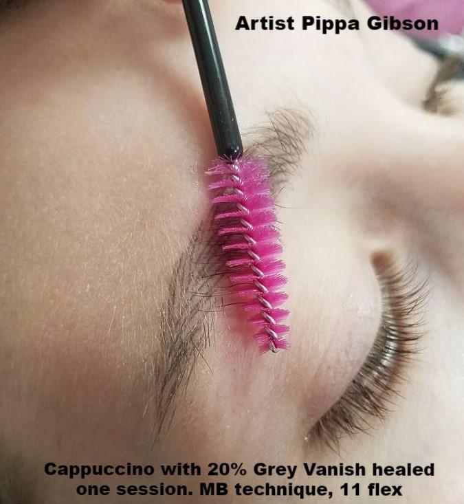 Before and after collage showing healed brows with Aqua Cappuccino and Grey Vanish, MB technique by Pippa Gibson