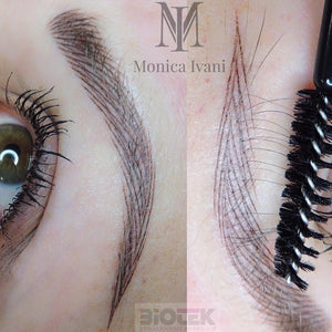 Machine hair strokes using Espresso and Ultra Gold brow pigments by Monica Ivani.