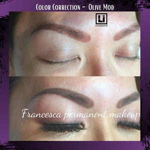 One-session healed result of brow color correction using Li Pigments Olive Mod by Francesca Permanent Makeup