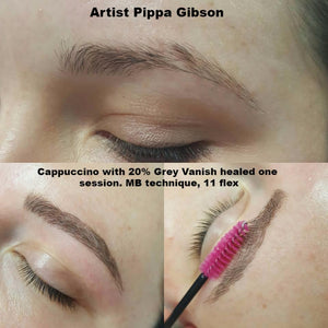 Healed PMU brows with Aqua Cappuccino and 20% Grey Vanish in one session using MB technique and 11 flex needle by artist Pippa Gibson