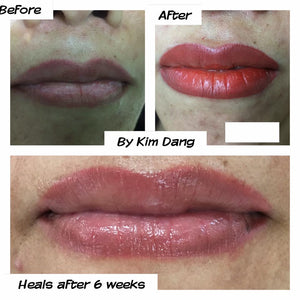 Warm peachy-mauve lip result using a mix of Mauve-Lous, Toasted Coral, and Mango PMU pigments