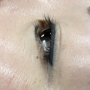 Healed permanent eyeliner using Li Pigments Black Diamond from the Aqua Line by Teryn Darling of Girlz Ink, shown 7 years post-procedure with long-lasting color retention and smooth definition.