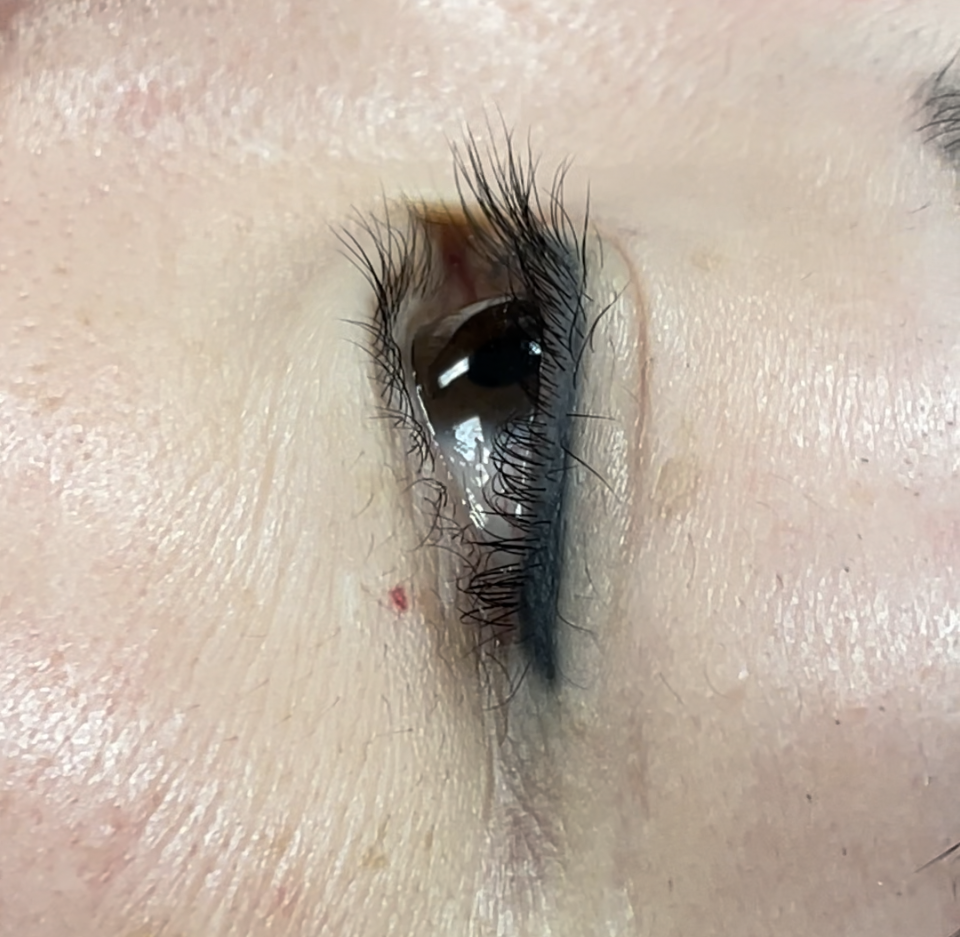 Healed permanent eyeliner using Li Pigments Black Diamond from the Aqua Line by Teryn Darling of Girlz Ink, shown 7 years post-procedure with long-lasting color retention and smooth definition.