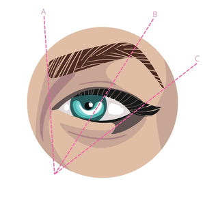 Eyebrow mapping diagram showing A, B, and C measurements for permanent makeup brow shaping.
