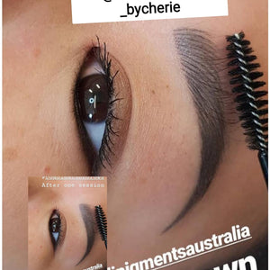 Combo brow technique with Aqua Navajo Brown after one session by Cherie Ayrton.