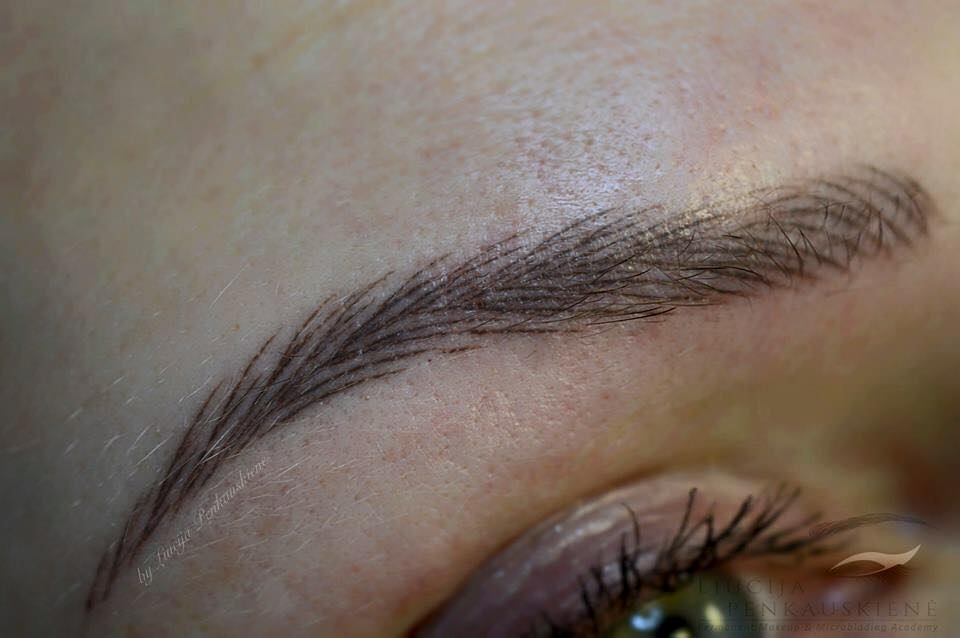 Natural-looking healed hair strokes using Aqua Navajo Brown by Liucija Penkauskiene.