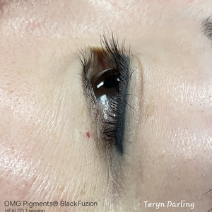 Healed permanent eyeliner created with OMG Black Fuzion pigment by Teryn Darling, showing smooth, deep black color and crisp results after one session.