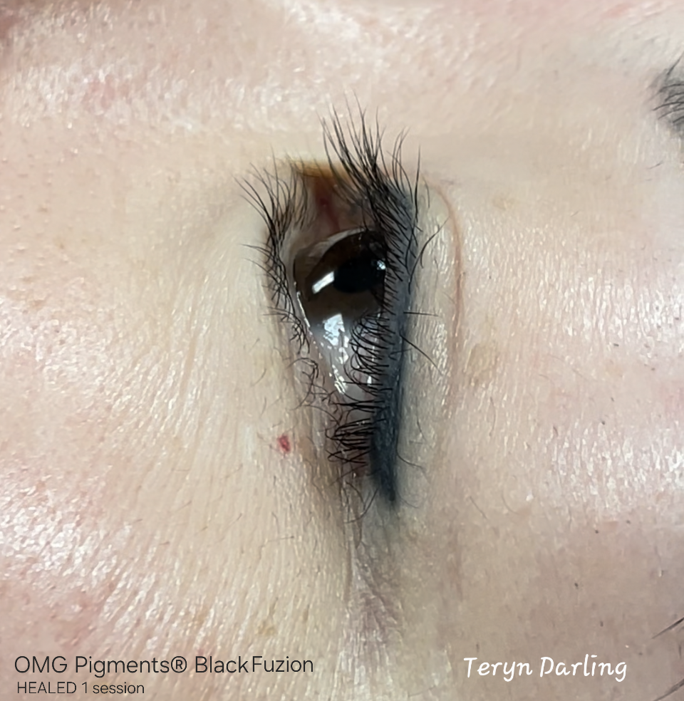 Healed permanent eyeliner created with OMG Black Fuzion pigment by Teryn Darling, showing smooth, deep black color and crisp results after one session.