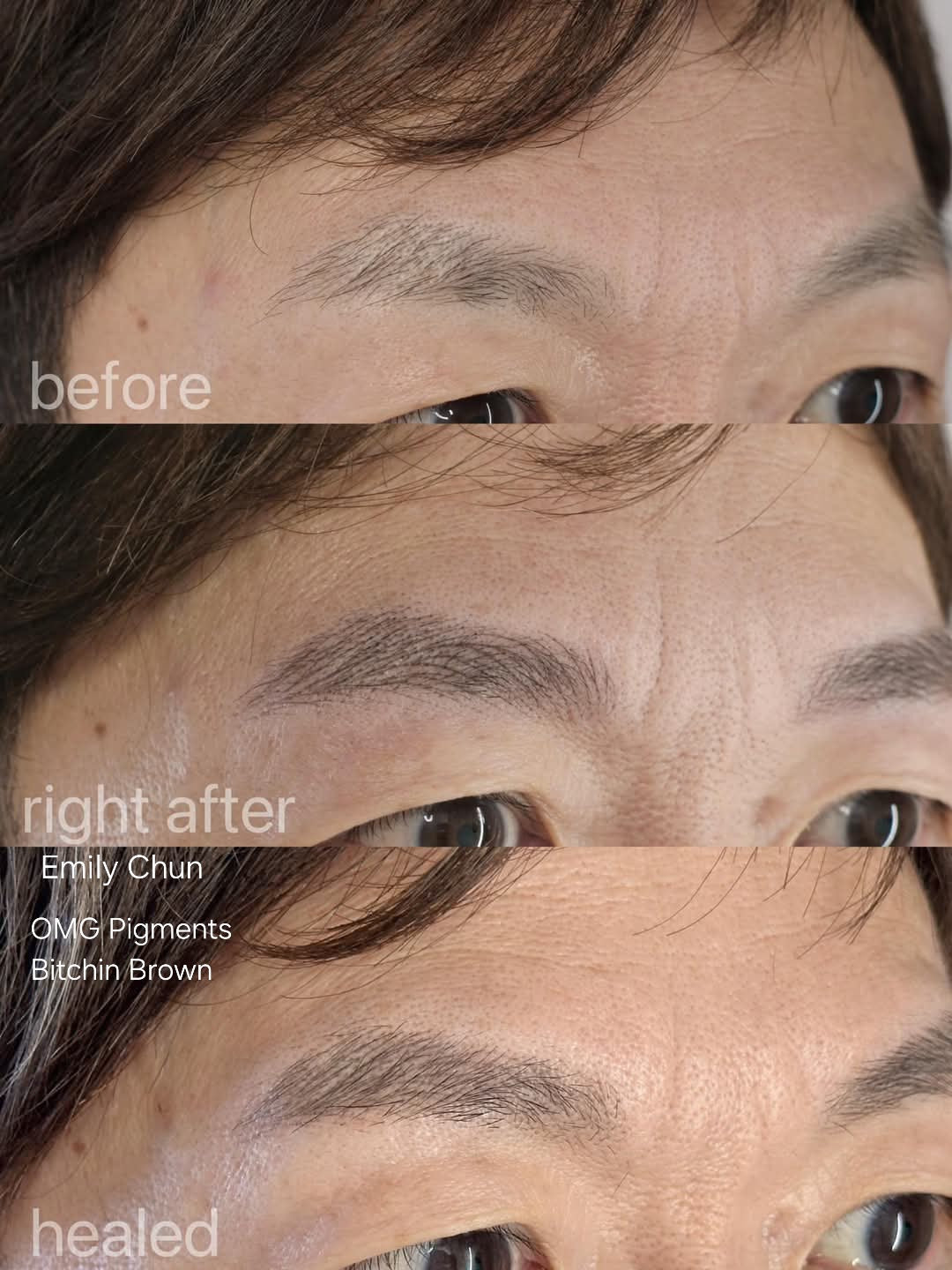 Before, after, and healed results of a brow transformation using OMG® Pigments Bitchin Brown by Emily Chun. The image shows natural, even color retention and soft healed results through all stages.