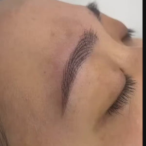 Close-up video of freshly completed nano brows using OMG® Vixen pigment by Teryn Darling. The brows show crisp strokes, smooth color saturation, and expert technique by NanobrowsHK.