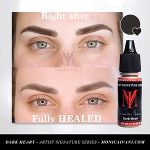 Healed eyebrow results using Monica Ivani Dark Heart pigment.