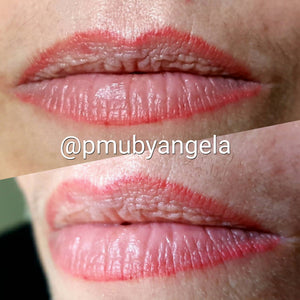 Lip liner only result using Rosewood pigment by Angela Torresiani.