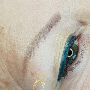 2-year healed brows using Taupe and Breve PMU pigments by Nikki van Gend—soft and natural retention.

