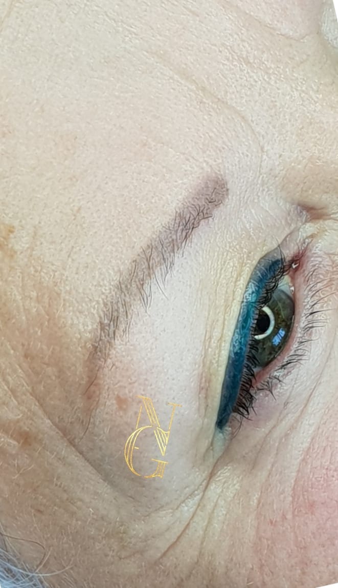 2-year healed brows using Taupe and Breve PMU pigments by Nikki van Gend—soft and natural retention.


