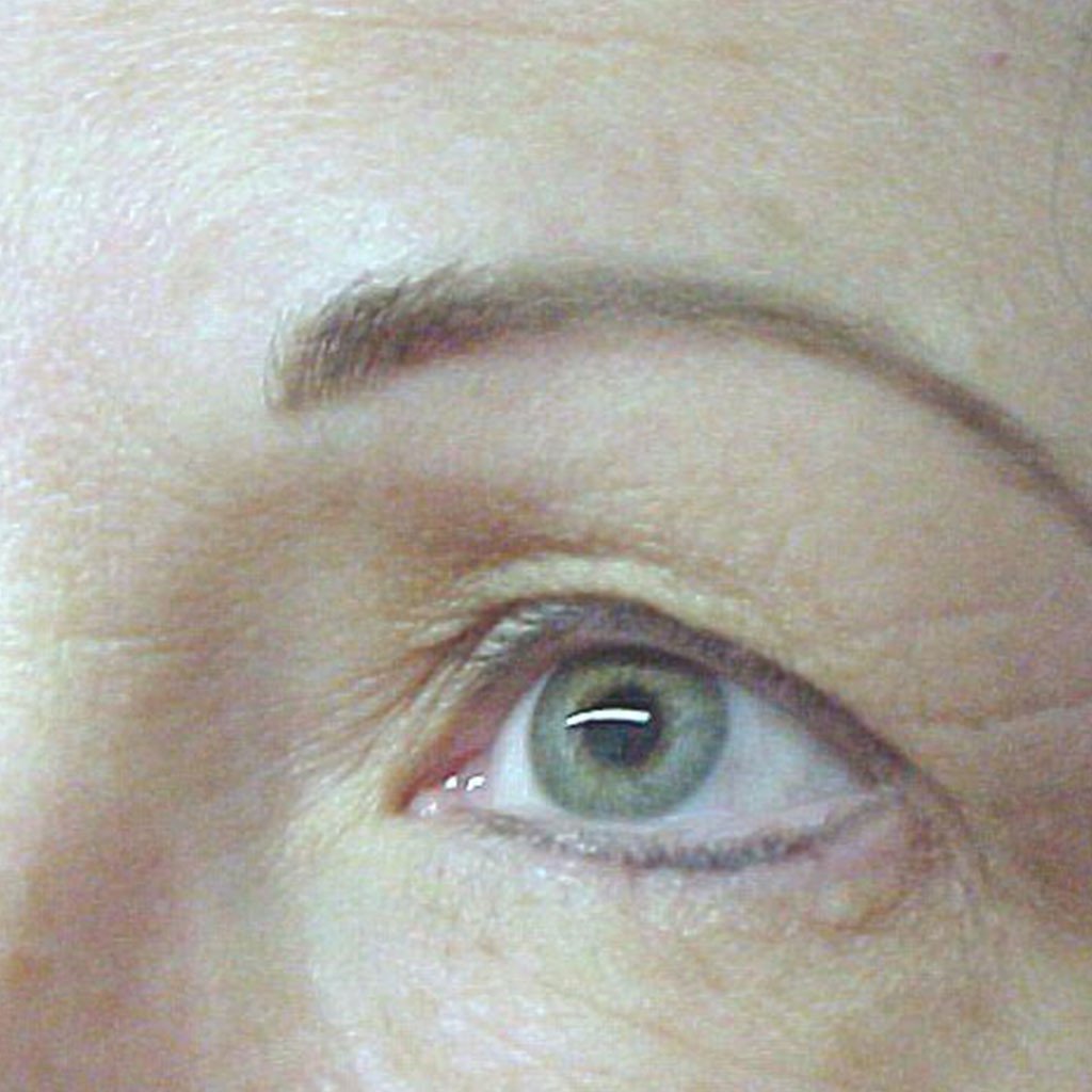 Taupe pigment brows healed after two and a half years by Lynne Hill
